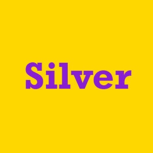 Silver Package