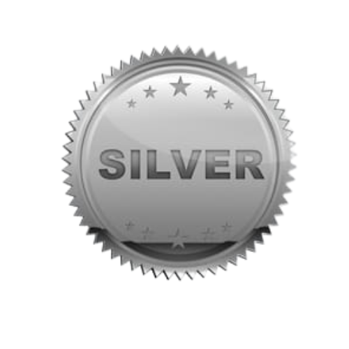 BelTouch Events, Silver Tier
